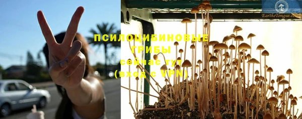 дурь Богданович